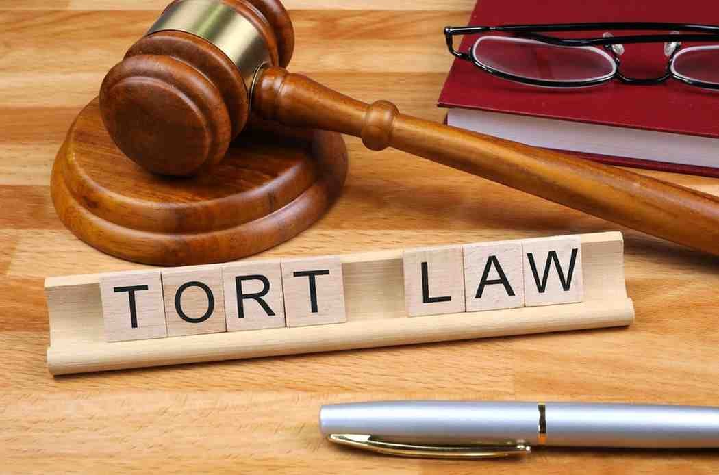 Law of Torts